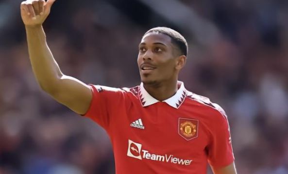 场对食品安 场对食品安