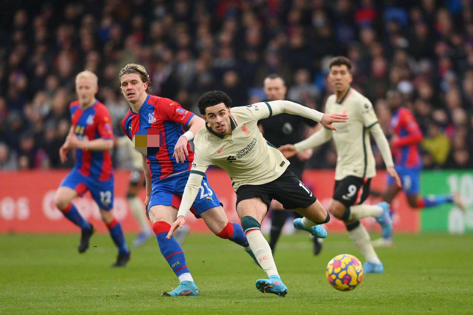 个人则需注 个人则需注