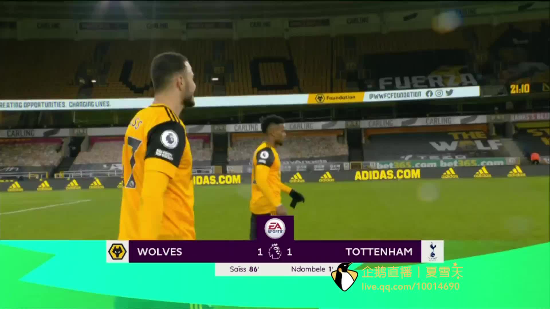 杨的关注 杨的关注