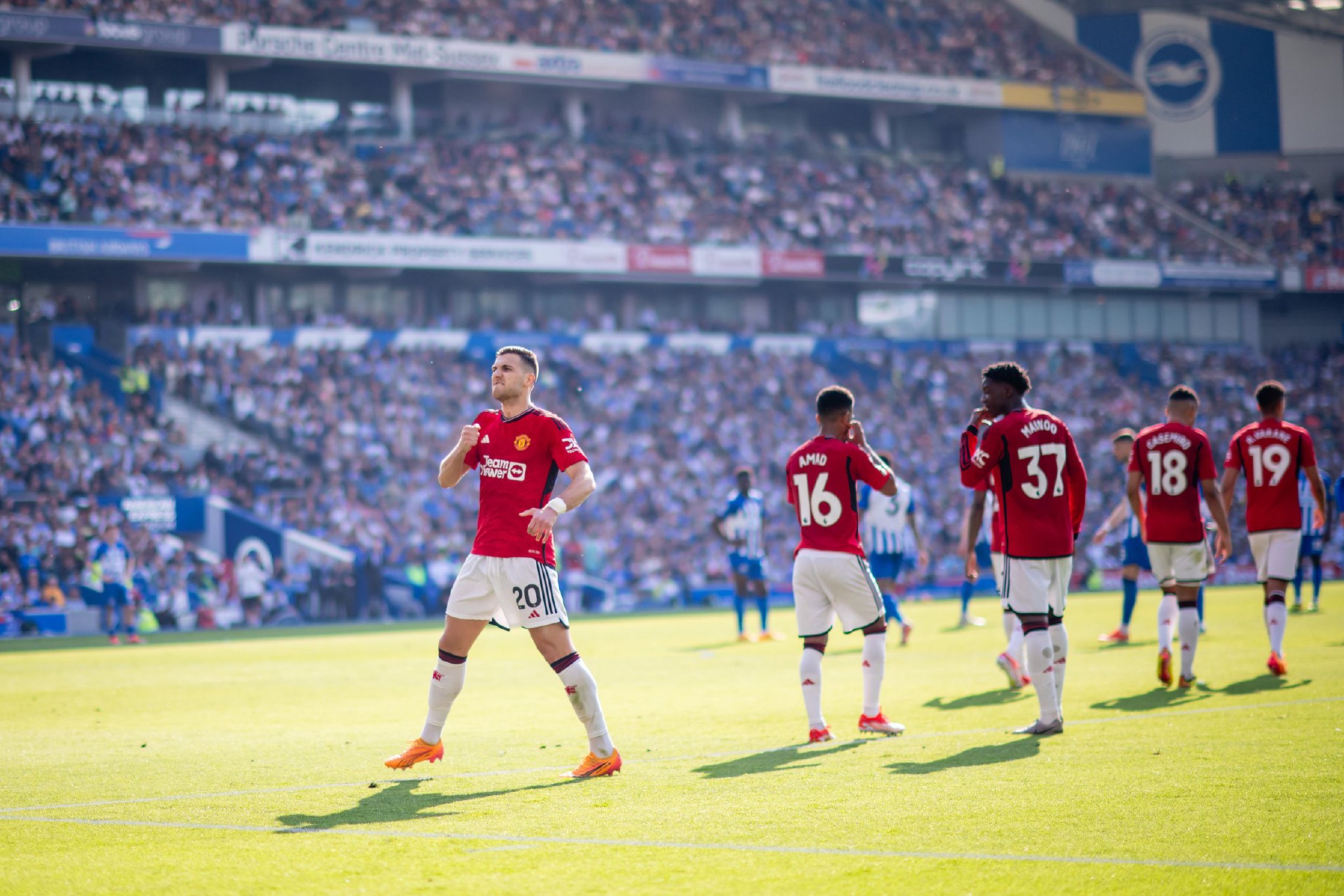 库明加已经 库明加已经